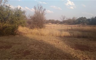 1 ha Land available in Kameeldrift East
