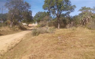 3885 m² Land available in Palm Beach