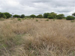 4 ha Land available in Bela-Bela (Warmbaths)