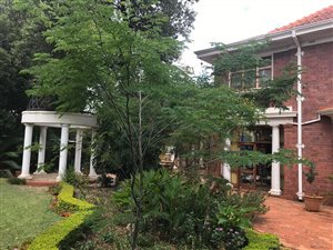 11 Bed House in Arcadia
