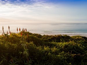 2 Bed House in Plettenberg Bay