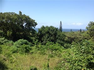 1281 m² Land available in Hibberdene