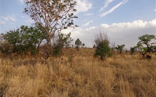 1766 m² Land available in Kameeldrift East