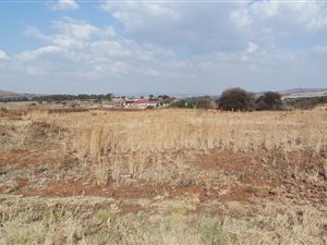 1.3 ha Land available in Walkerville