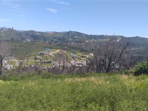 931 ha Land available in Knysna Heights