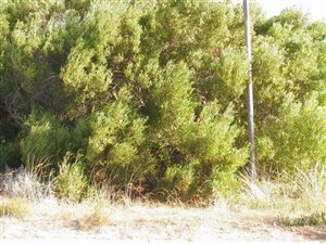 725 m² Land available in Paradise Beach