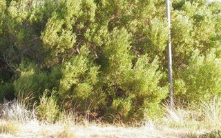 725 m² Land available in Paradise Beach