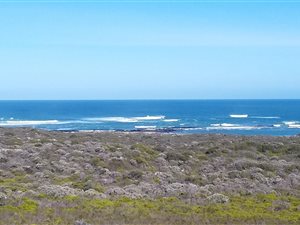 Farm in Struisbaai