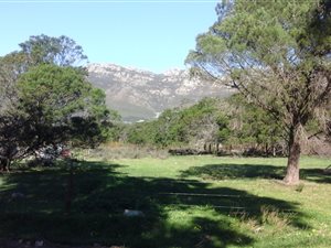 1 ha Farm in Firlands
