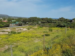 Farm in Noordhoek
