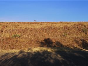 1 ha Land available in Walkerville