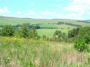2004 m² Land available in Underberg
