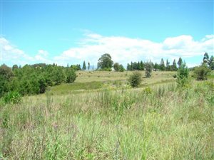 2004 m² Land available in Underberg