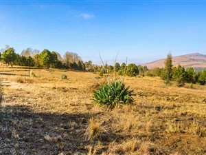 2004 m² Land available in Underberg