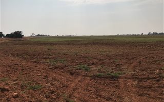 75 ha Farm in Petit