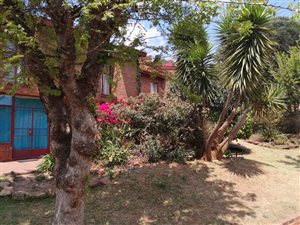 3 Bed Duplex in The Hill