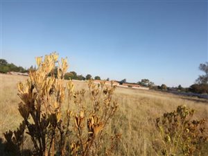 1 m² Land available in Mantevrede