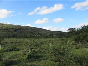 4.4 ha Land available in Riebeeck East
