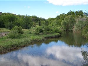 2155 ha Farm in Laingsburg