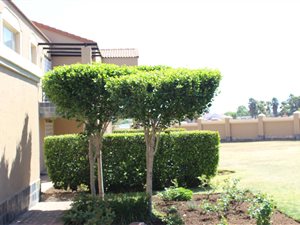 1 Bed Townhouse in Dalpark