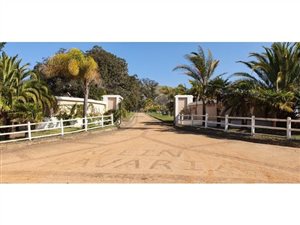 1352 ha Farm in Knysna Central
