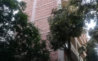 2 Bedroom Apartment in Silverton