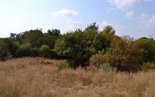2.6 ha Land available in Sterkfontein and surrounds