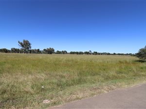 1 ha Land available in Grasslands