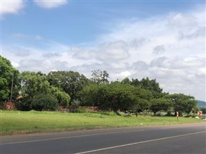 7416 ha Farm in Rosslyn