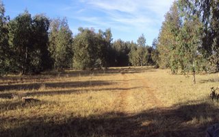 243 ha Land available in Petrusburg