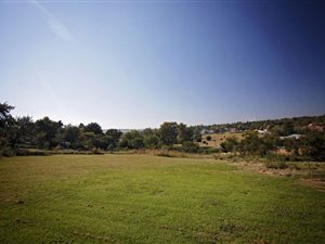 10 Bed House in Buccleuch