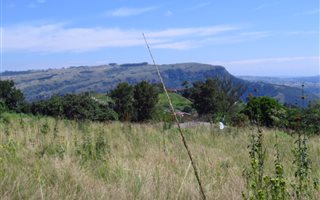 1103 m² Land available in Nagina