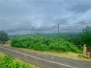 1263 m² Land available in St Michaels on Sea