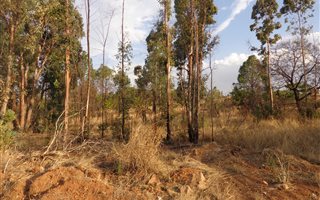1690 m² Land available in Kameeldrift East