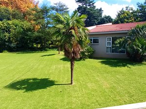 4.3 ha Farm in Lochvaal
