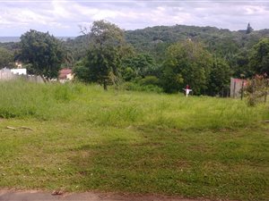 1584 m² Land available in Palm Beach
