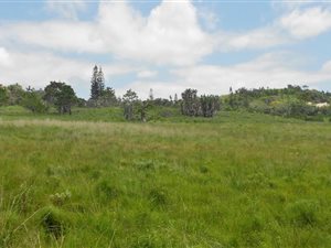 1.2 ha Land available in Port Edward