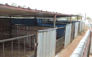 48.2 ha Farm in Zeerust