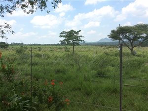 70 ha Farm in Polokwane Central