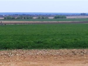 1112 ha Farm in Hartswater