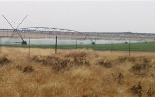 1112 ha Farm in Hartswater