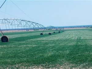 1112 ha Farm in Hartswater