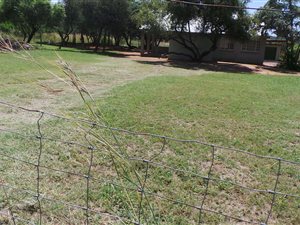 1 ha Farm in Bela-Bela (Warmbaths)