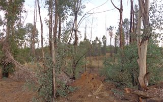 1423 m² Land available in Kameeldrift East