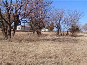 19.9 ha Farm in Bela-Bela (Warmbaths)