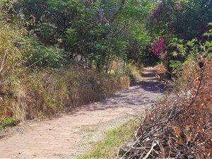 3911 m² Land available in Waterkloof Ridge