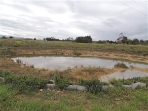 9.7 ha Farm in George Central