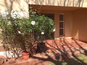 1.5 Bed Apartment in Northcliff