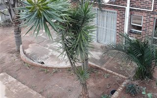 1 Bedroom Garden Cottage in Dawncliffe