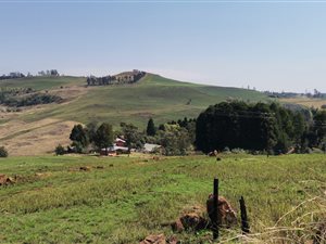 12.7 ha Farm in Howick